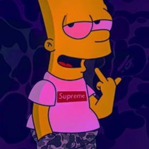 Meet your Posher, Gavin